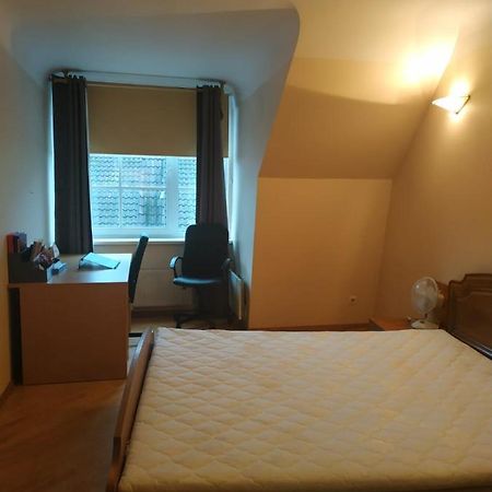 Red Nose Roof-Top Apartment Рига Екстериор снимка