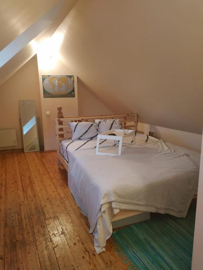 Red Nose Roof-Top Apartment Рига Екстериор снимка