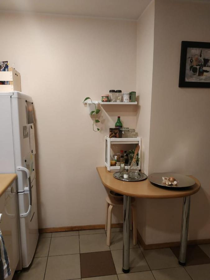 Red Nose Roof-Top Apartment Рига Екстериор снимка